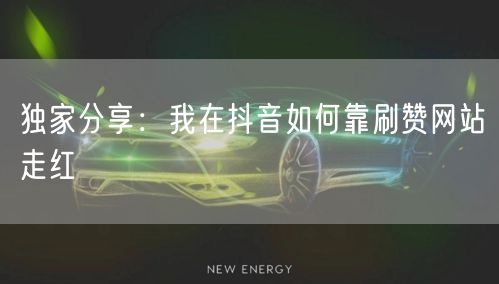 独家分享:我在抖音如何靠刷赞网站走红