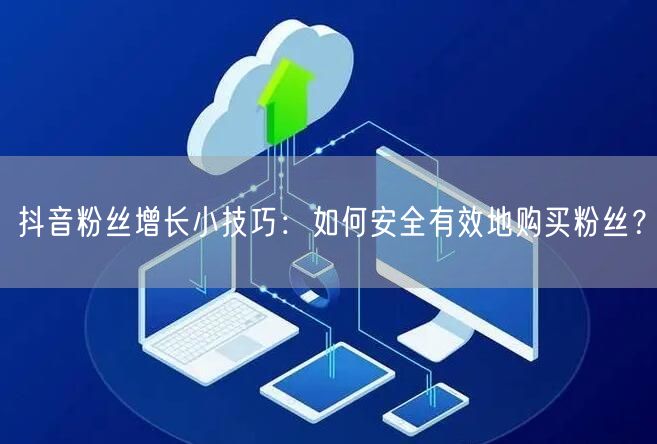 抖音粉丝增长小技巧:如何安全有效地购买粉丝?