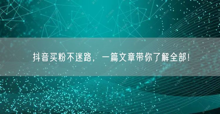 抖音买粉不迷路,一篇文章带你了解全部!