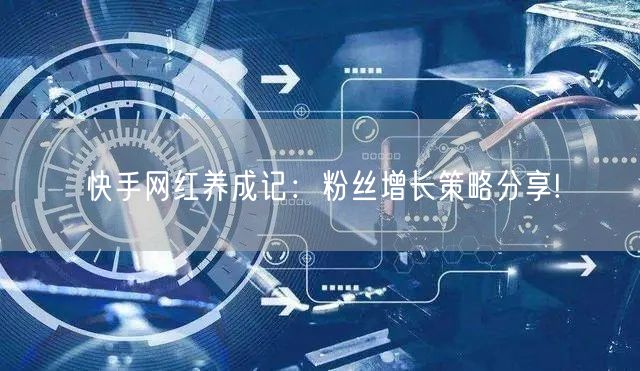 快手网红养成记：粉丝增长策略分享!