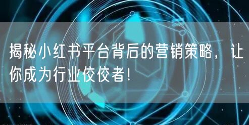 揭秘小红书平台背后的营销策略,让你成为行业佼佼者!